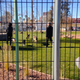 Image for article titled Visiting the Downtown Project's New Vegas Parks: Pretty, But Private